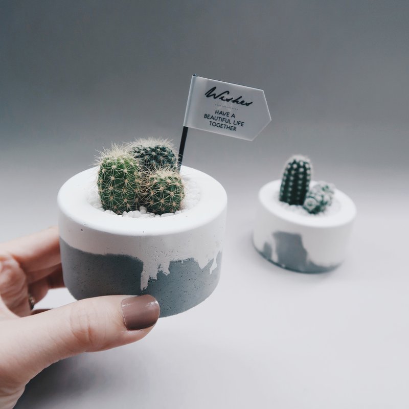 LITTLE CAKE 小圆蛋糕 | 多肉 / 仙人掌鲜奶油水泥盆栽 (含植物) - 植栽/盆栽 - 水泥 灰色