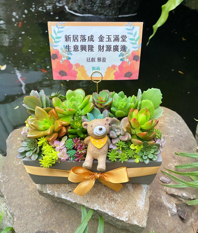 【急单可】免费定制卡片/安全运送/多肉盆栽/水泥盆/开幕 升迁 花 - 植栽/盆栽 - 植物．花 绿色