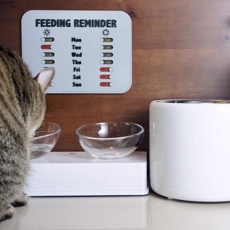 【基层自造】宠物喂食记录板 - 其他 - 塑料 灰色
