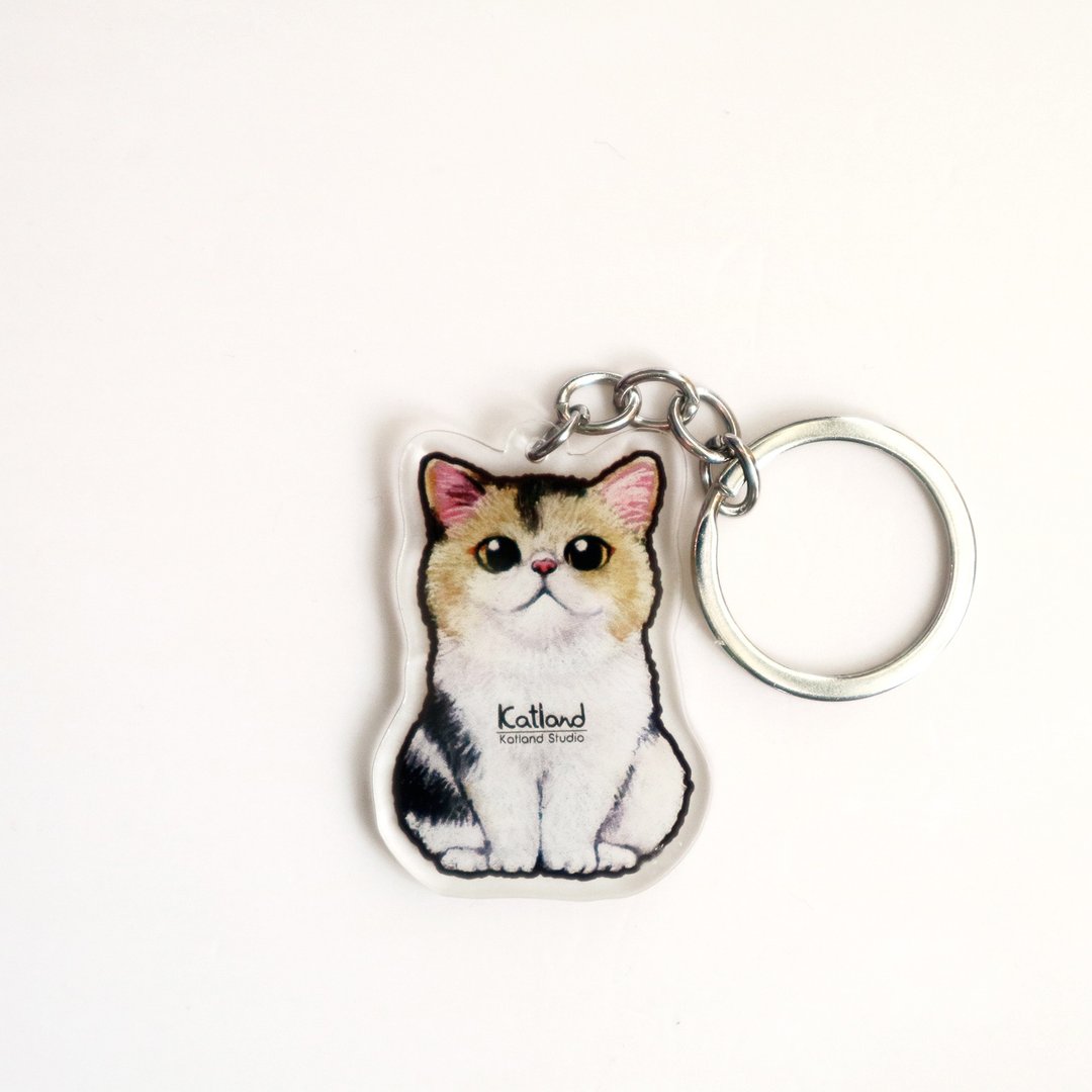 自家创作 猫 匙扣 cat keychain C21 - 钥匙链/钥匙包 - 塑料 多色