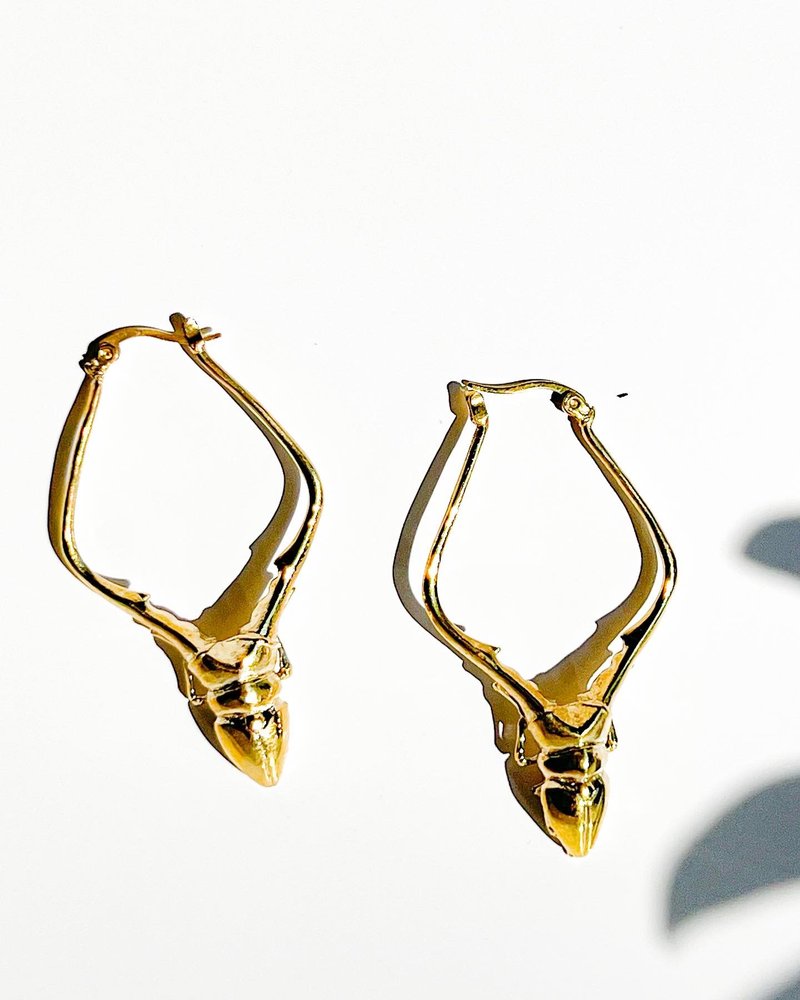 黄铜金龟子耳环 - 耳环/耳夹 - 铜/黄铜 金色