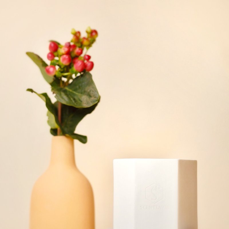 Daily Scent S/S - Peach Iced Tea - 蜡烛/烛台 - 陶 白色