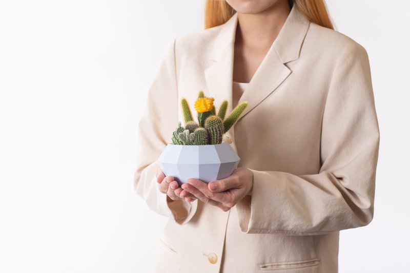 【专车配送】时道晴天 - 以植为礼 / 盆栽 植物 台湾设计 有肉 - 植栽/盆栽 - 植物．花 