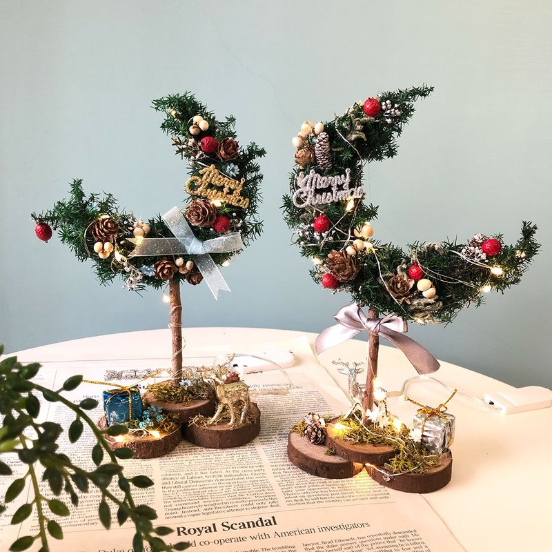 圣诞限定课程 圣诞月亮桌上装饰 - 植栽 - 植物．花 