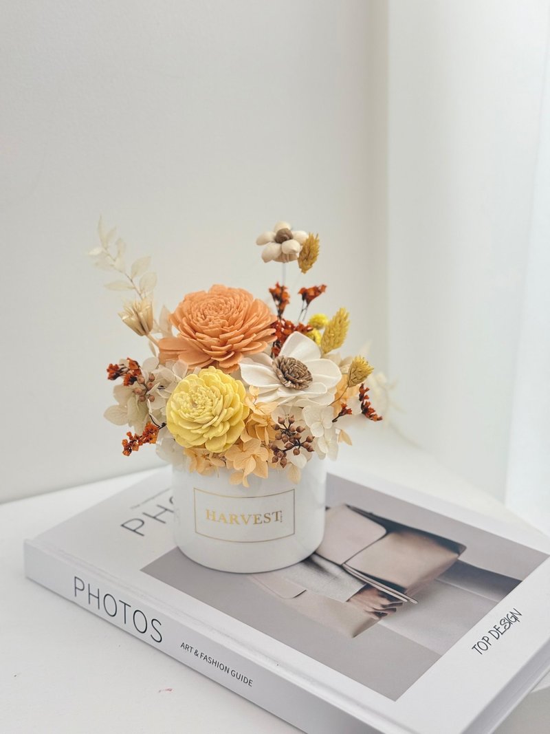 永生干燥扩香盆花-开幕盆花/乔迁礼/新婚礼物/入厝礼/升迁礼 - 干燥花/捧花 - 植物．花 橘色