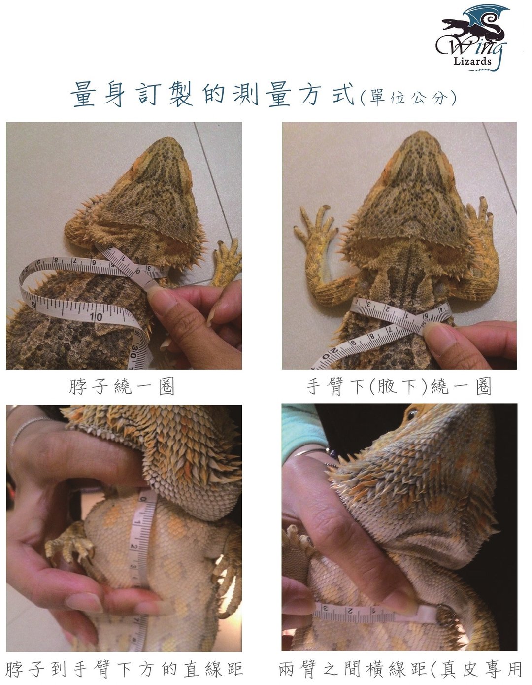 爬虫牵绳-客人下单区 - 项圈/牵绳 - 其他材质 