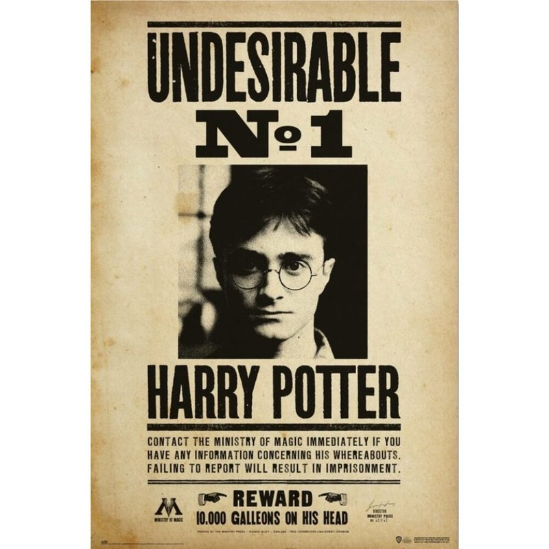 【哈利波特】头号不受欢迎人物通缉令海报/HARRY POTTER - 海报/装饰画/版画 - 纸 卡其色