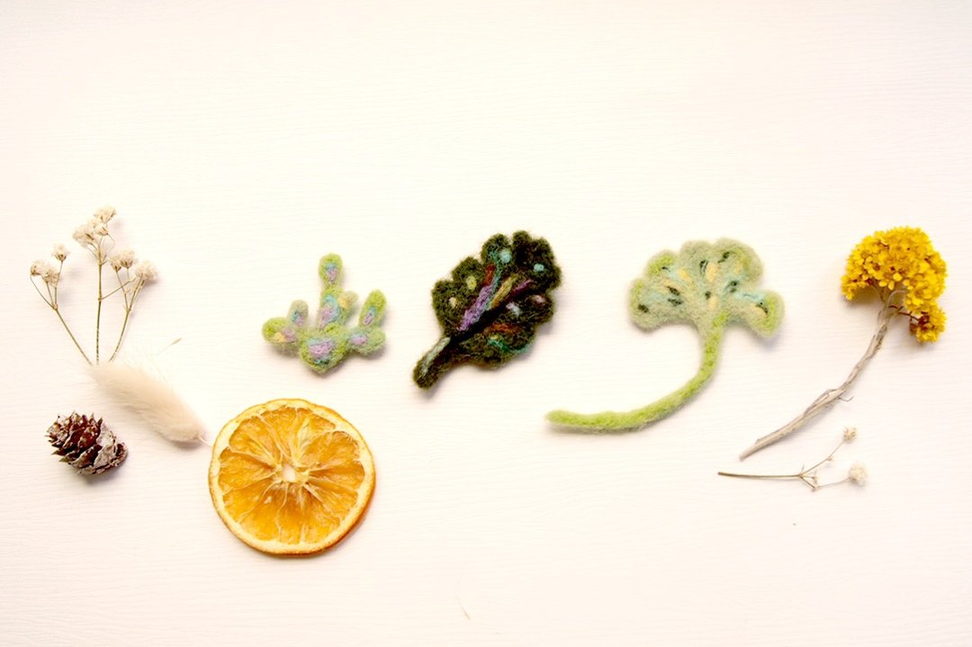 绿色植物 仙人掌 叶子 银杏 羊毛毡 胸针 - 胸针 - 羊毛 绿色