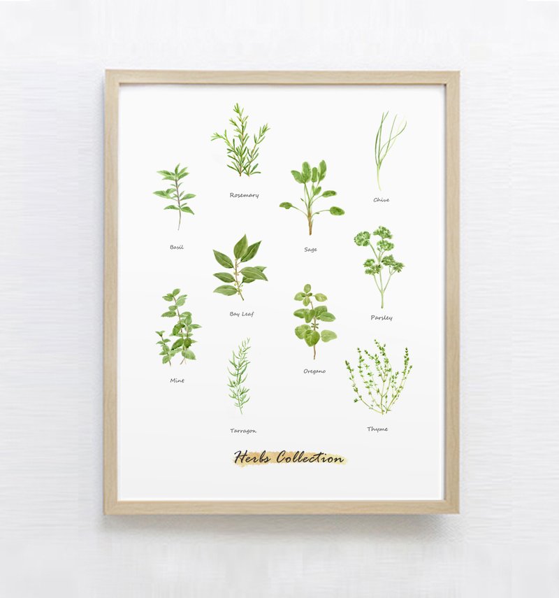 西餐厅挂画-水彩画-装饰画-植物-咖啡-民宿-居家 - 海报/装饰画/版画 - 纸 