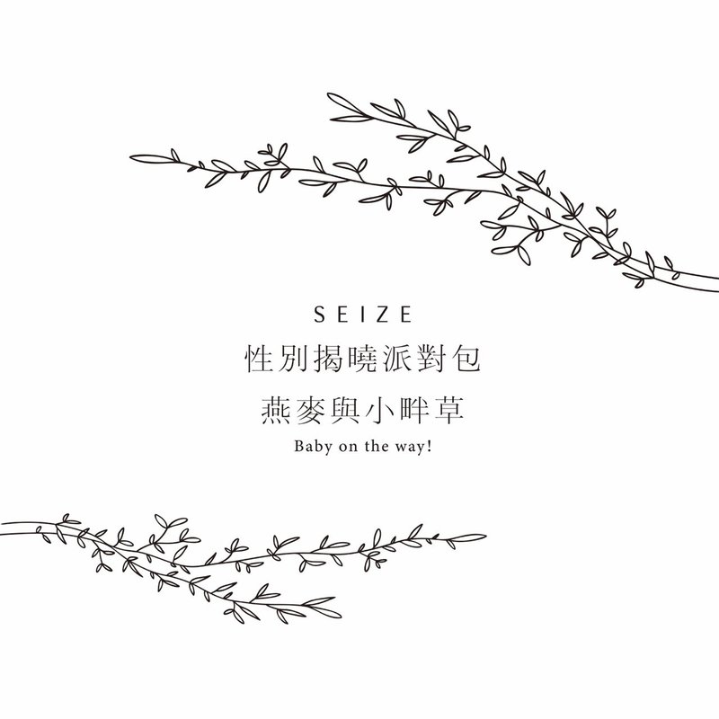 性别派对揭晓包-燕麦与小畔草款 - 其他 - 其他材质 