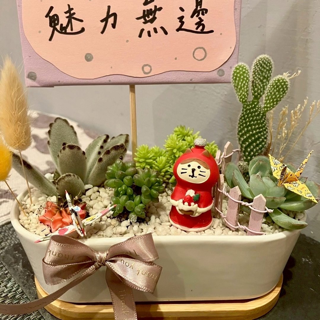 圣诞节 耶诞 猫 台中多肉组盆 多肉植物 圣诞礼物 日本decole - 植栽/盆栽 - 植物．花 绿色