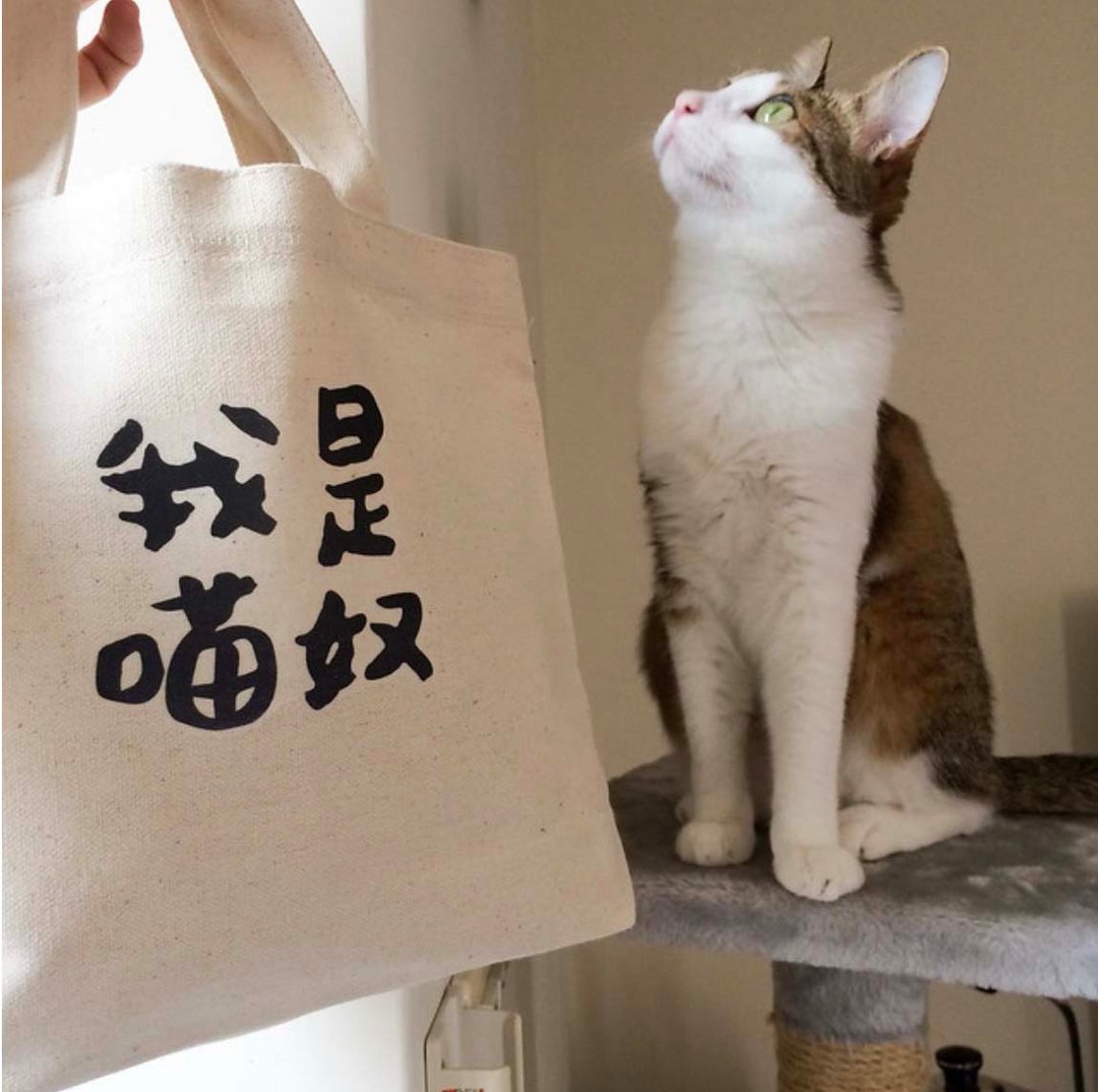 【 88 折福袋 】给猫奴的礼物 满满の萌猫组合 cats lover - 手拿包 - 棉．麻 黄色