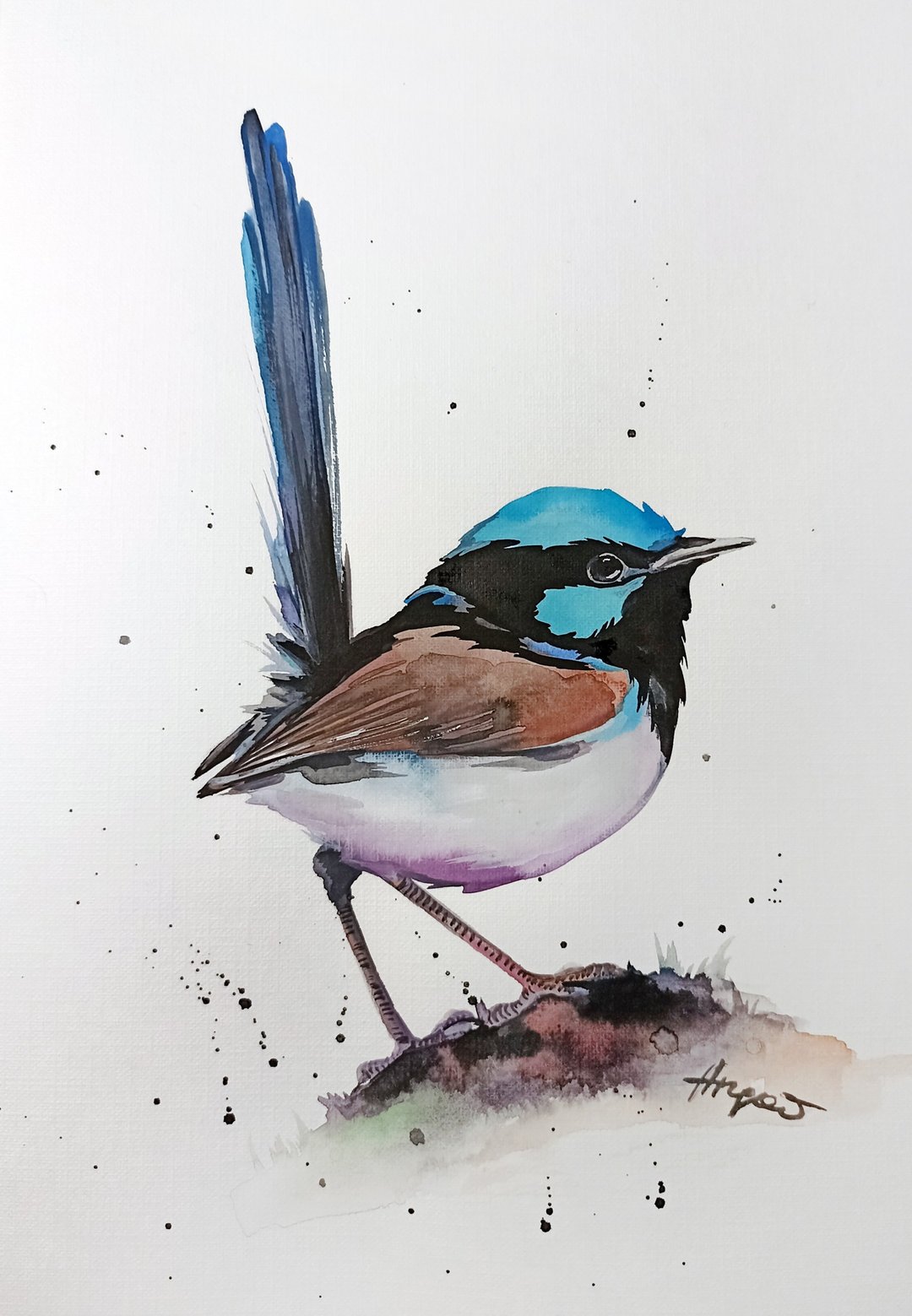 Watercolor original art blue bird room decor painting by Anne Gorywine - 墙贴/壁贴 - 纸 红色