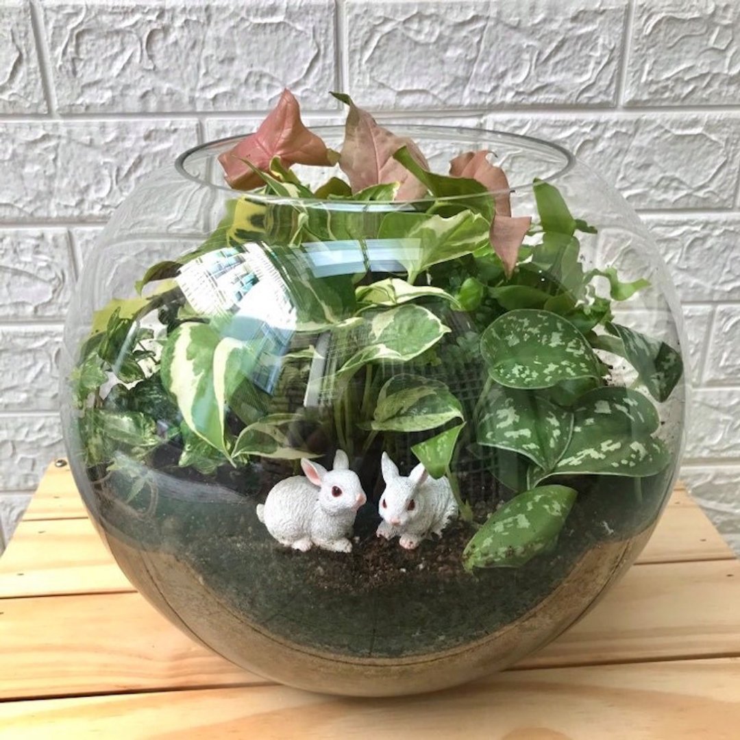 兔星球玻璃植景 手作体验 - 植栽 - 植物．花 