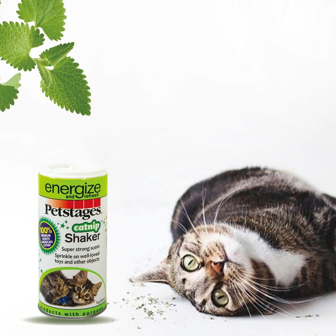 魔力猫草罐14g 100%天然猫草 - 其他 - 浓缩/萃取物 