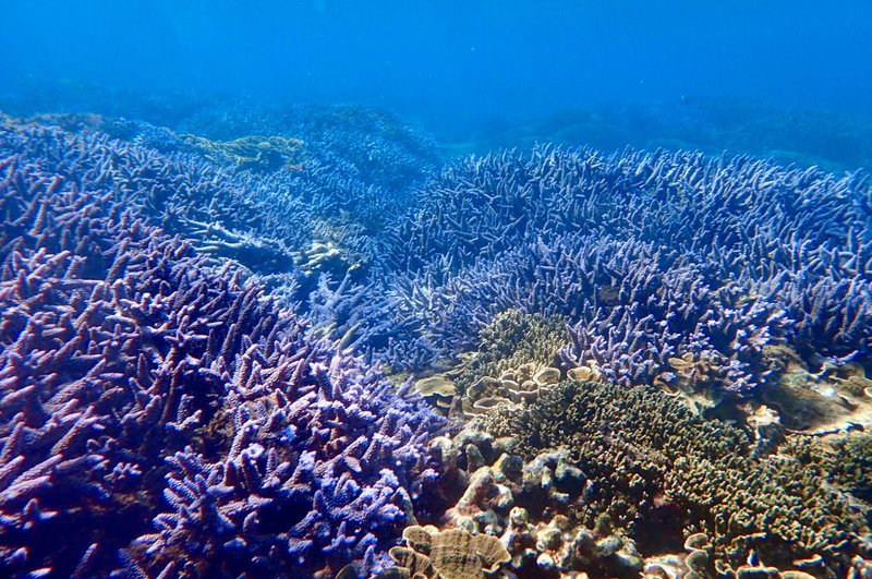 澎湖・东吉屿独木舟 + 浮潜・3 小时・P1 - 户外/室内活动 - 其他材质 