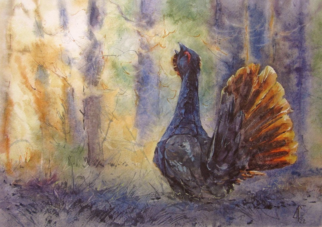 Capercaillie Watercolor Painting Birds Original Art Capercaillie Home Decor - 插画/绘画/写字 - 纸 橘色