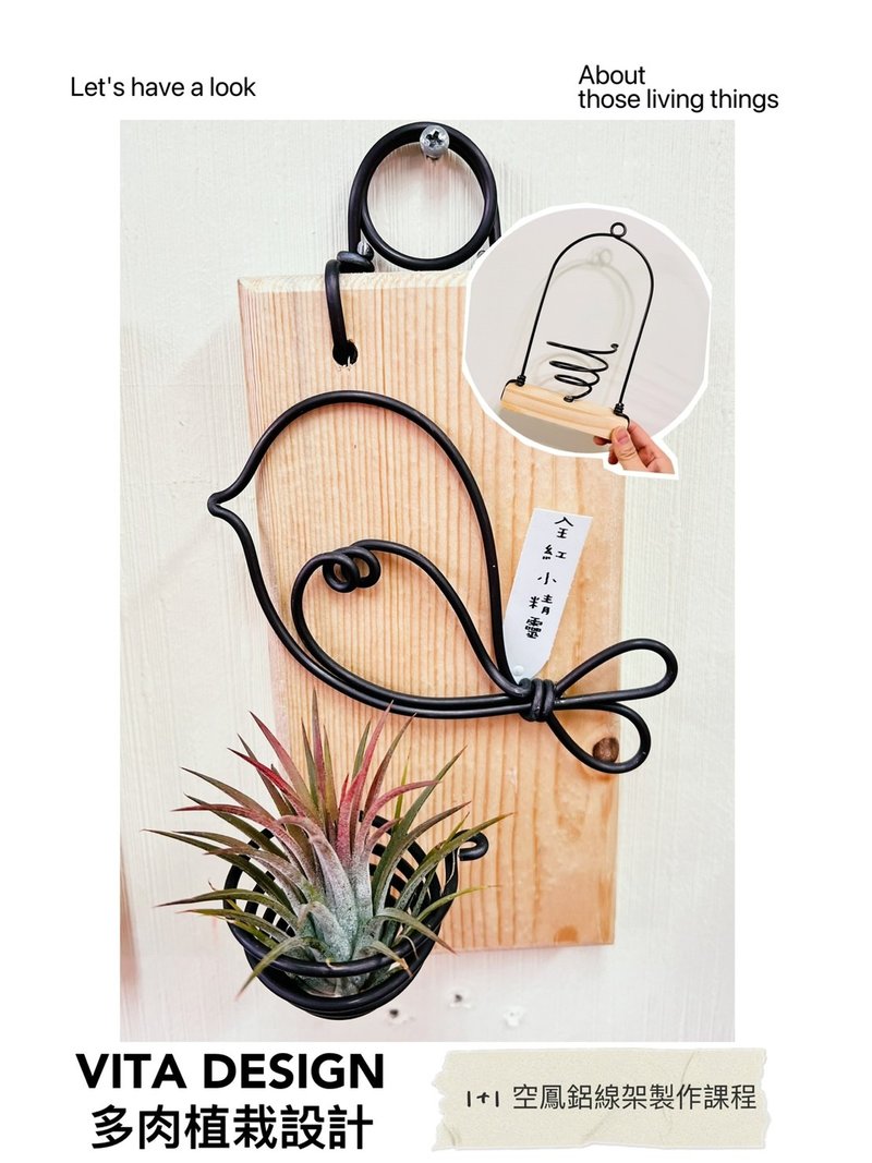 【体验活动】Vita Design实体多肉组盆课程 1+1空凤架课程 - 植栽 - 木头 