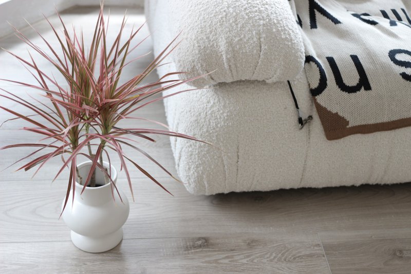 水培植栽│五彩千年木_室内植物 办公室盆栽 空间布置 - 植栽/盆栽 - 陶 