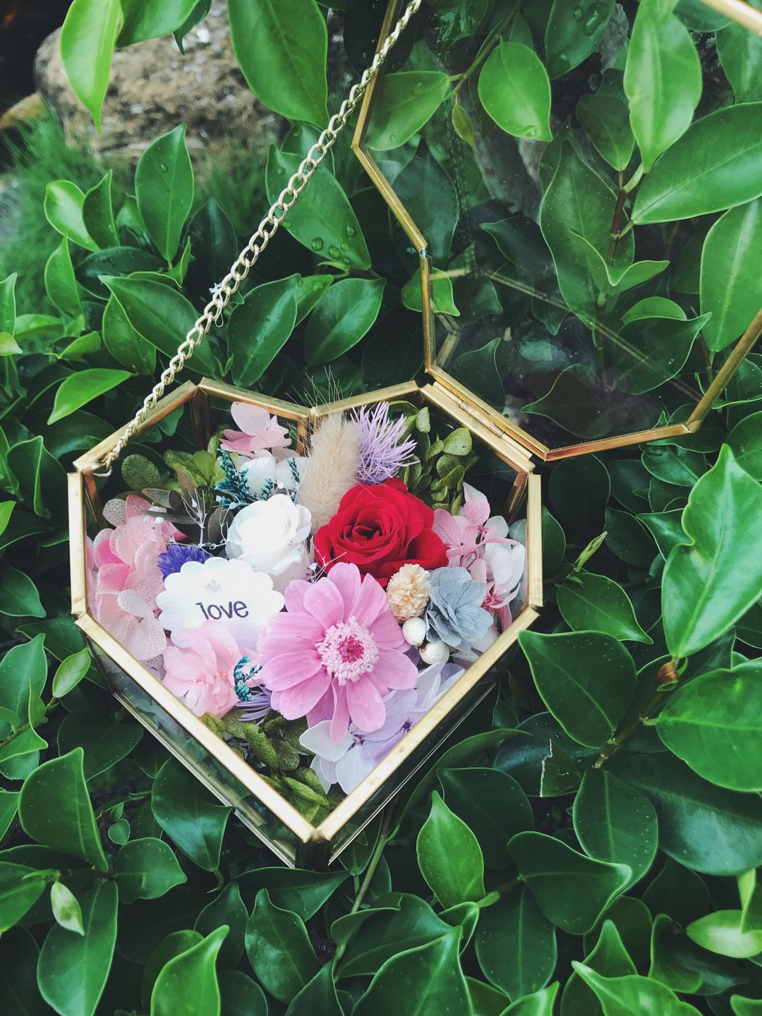 爱心花房/戒台/大/不凋花礼/求婚 - 干燥花/捧花 - 玻璃 