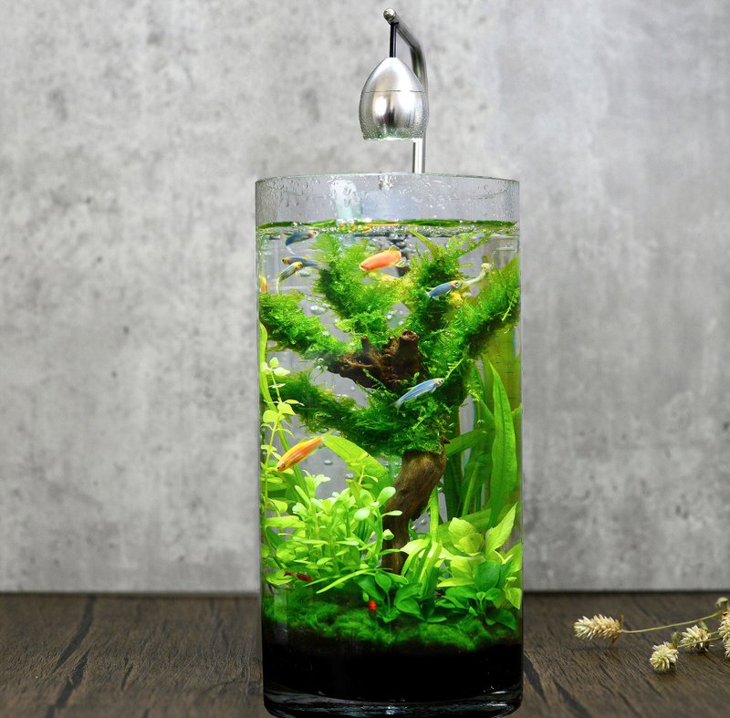 积木印象活水草生态纾压懒人鱼缸【高雅流木造景系列-莫斯奇木】 - 其他 - 玻璃 银色