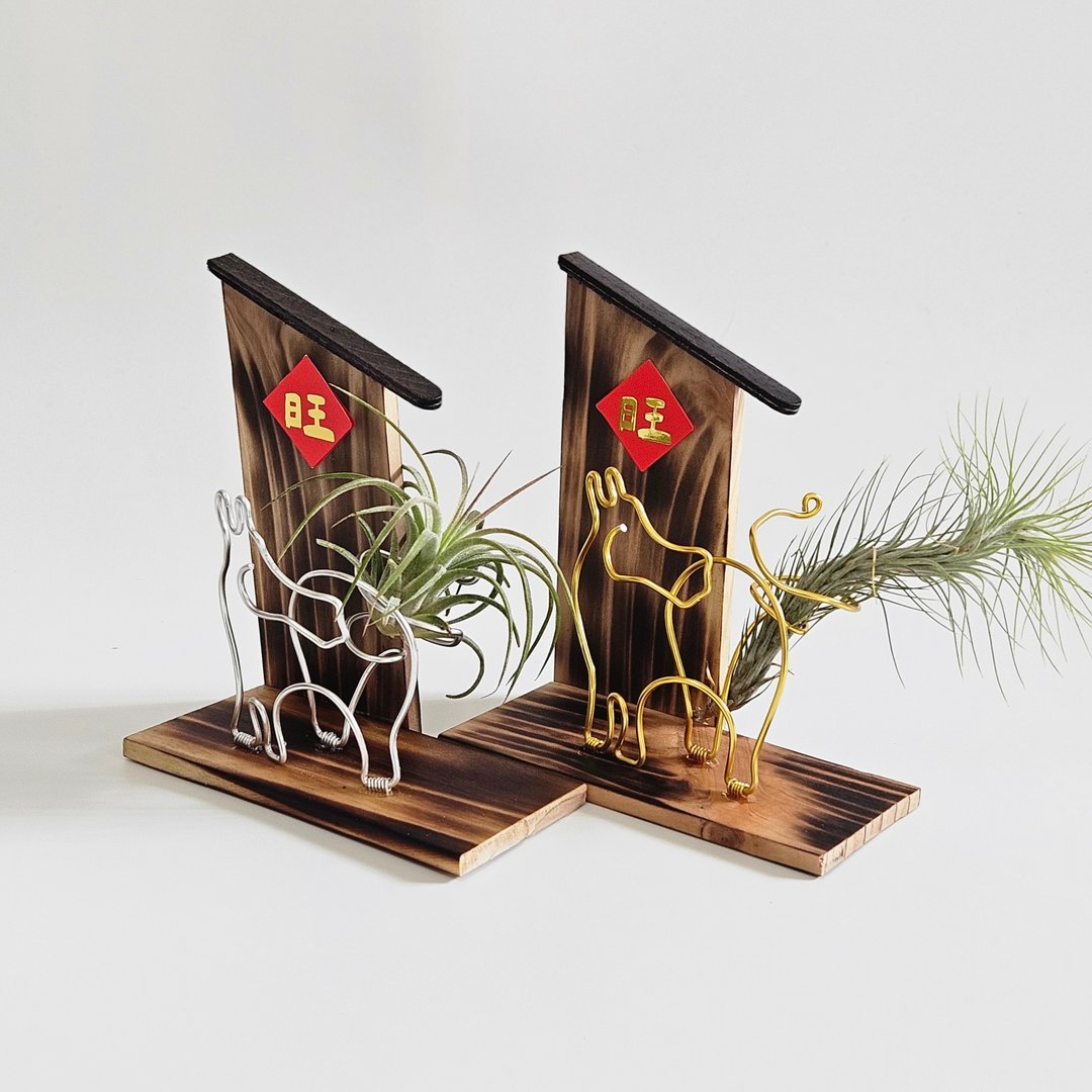 【马上旺来】含空凤 - 植栽/盆栽 - 其他金属 咖啡色