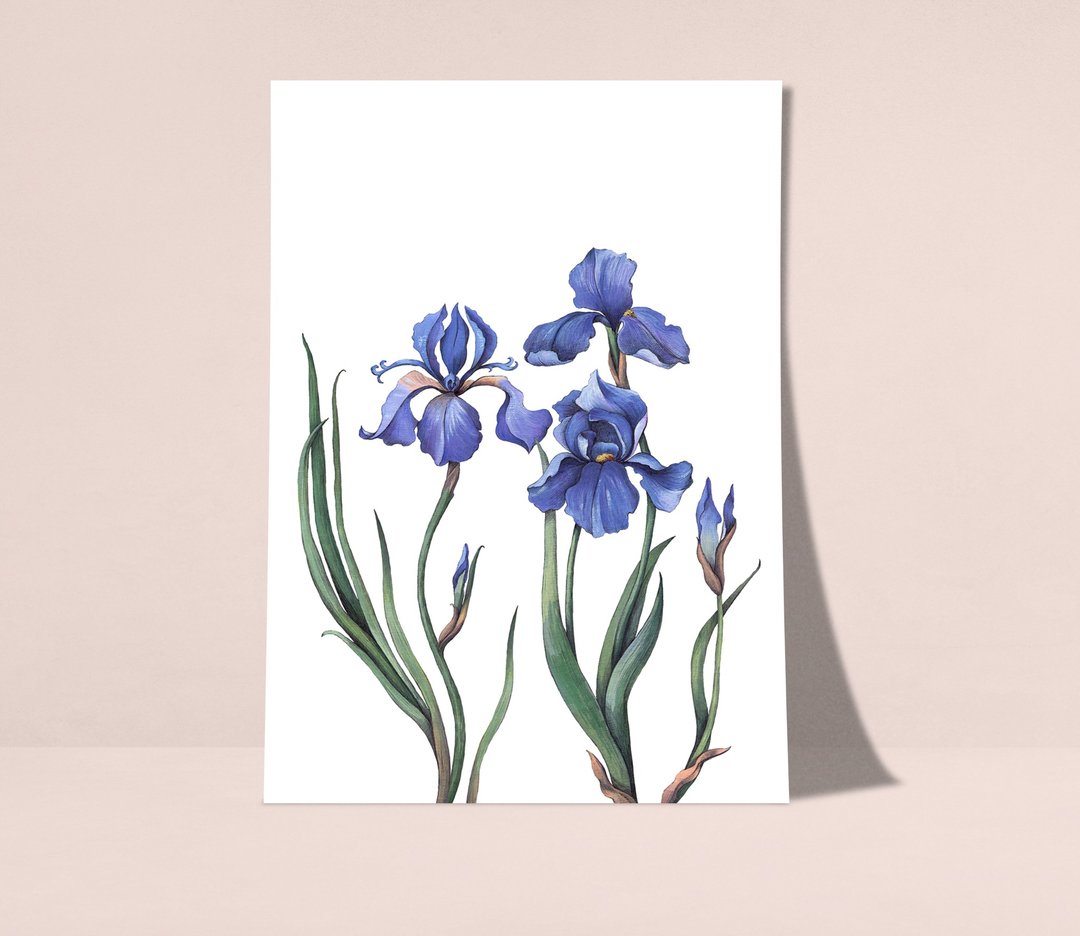 鸢尾花海报数码 JPEG 可打印墙面画廊墙面艺术鸢尾花印刷品 - 电子手绘真人画像/绘画/插画 - 其他材质 