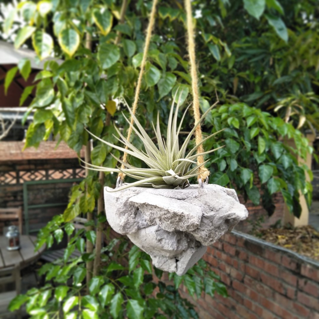 水泥漂浮吊盆 - 植栽/盆栽 - 水泥 灰色