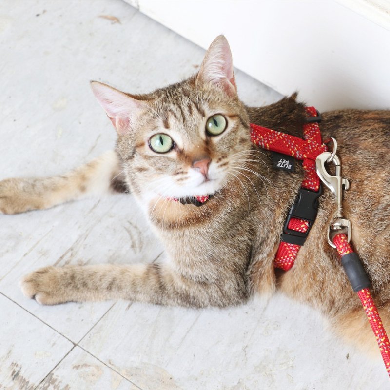 FLASH闪电系列 猫用工字胸背 紅黃 - 项圈/牵绳 - 尼龙 红色