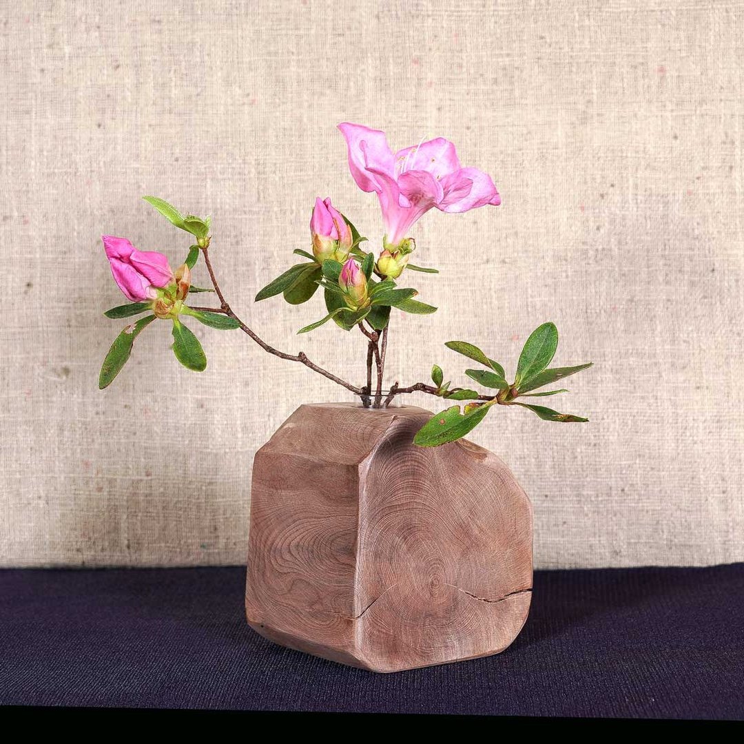 浮木花瓶花瓶单个花瓶木花瓶花瓶小花瓶69-1 - 花瓶/陶器 - 木头 咖啡色
