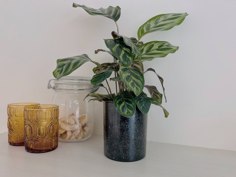 再生竹直筒高盆器 (4寸) - 植栽/盆栽 - 竹 黑色