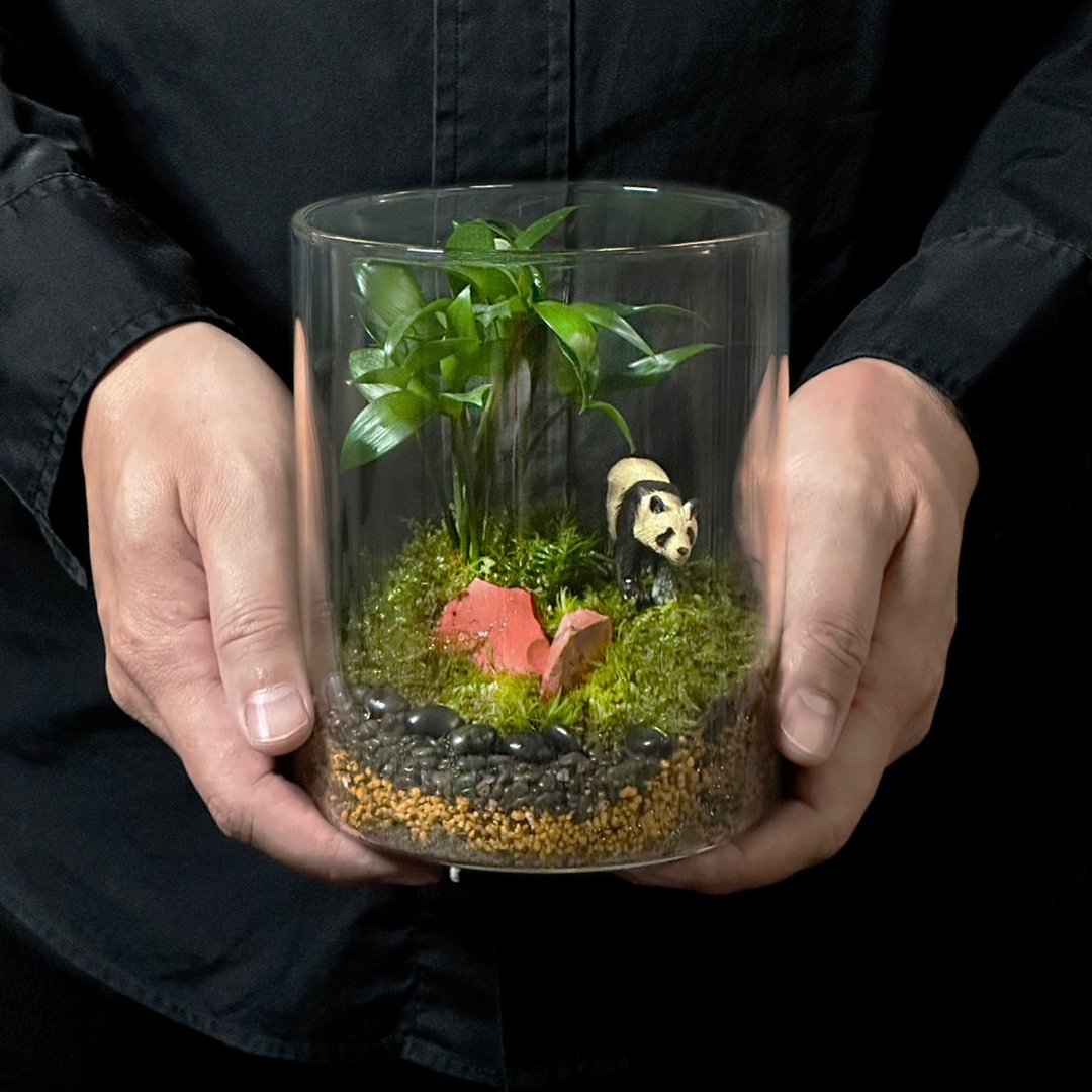 竹间食客 / 主题性定制化造景生态缸 - 植栽/盆栽 - 植物．花 