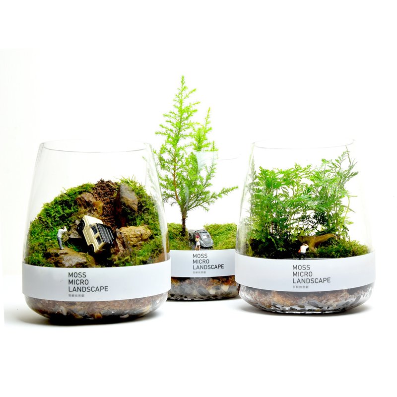 6 月・苔藓微景观制作体验课 - 植栽 - 植物．花 