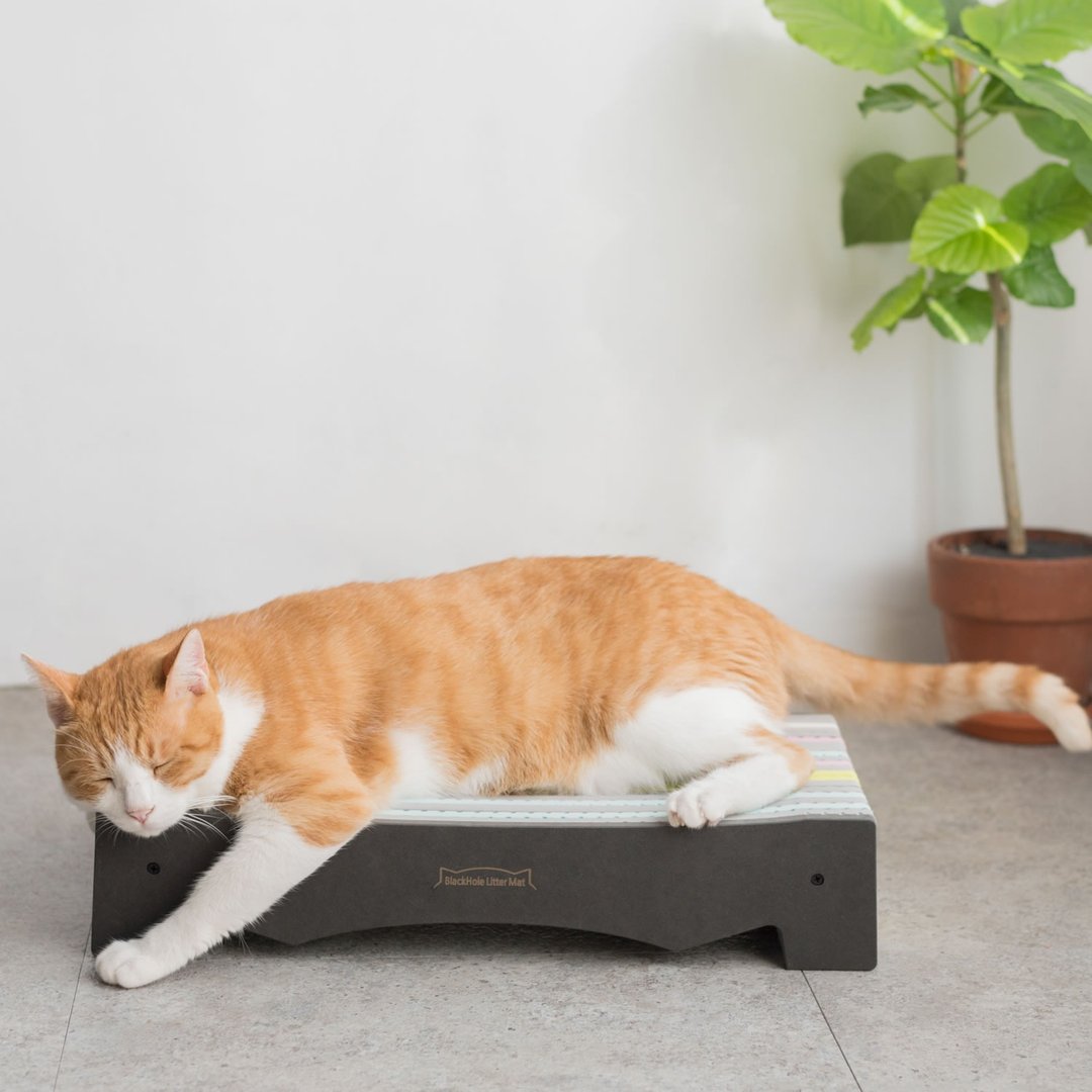 不屑猫抓板 - 可爱猫咪款(铁灰色)  屑屑明显减少唷~ - 抓板/跳台 - 木头 红色