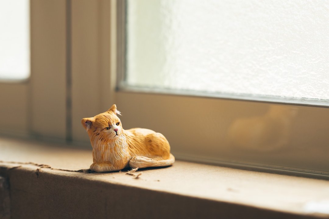 猫咪 定制化宠物手工黏土模型 - 玩偶/公仔 - 粘土 
