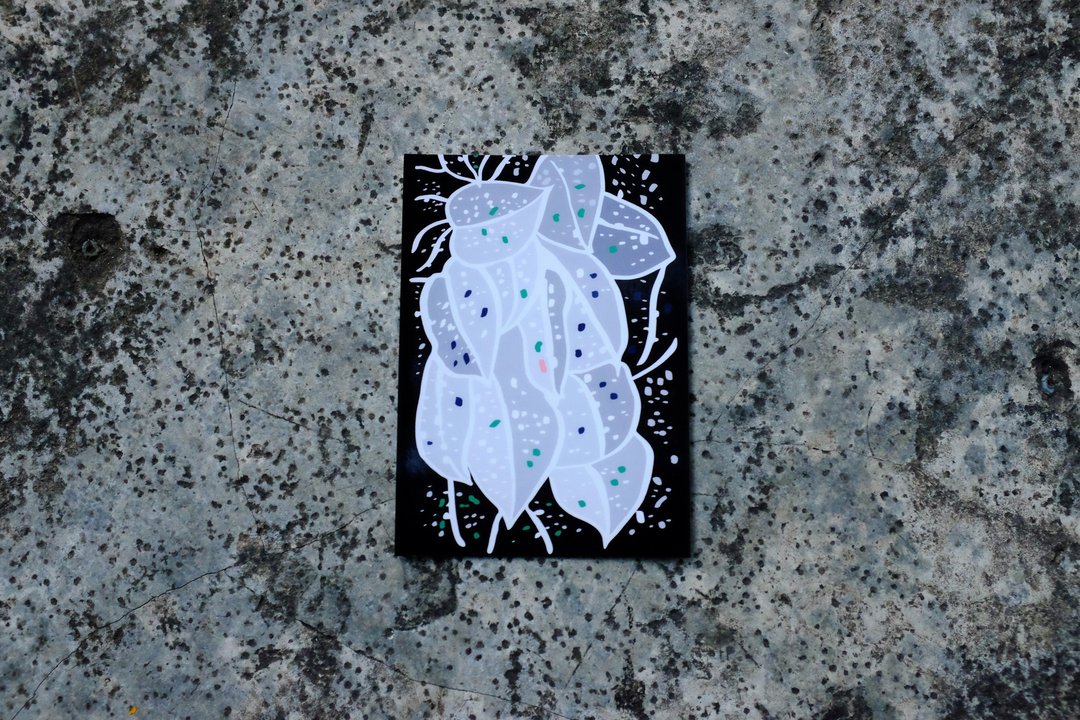 IAPO艺术家明信片 - 卡片/明信片 - 纸 