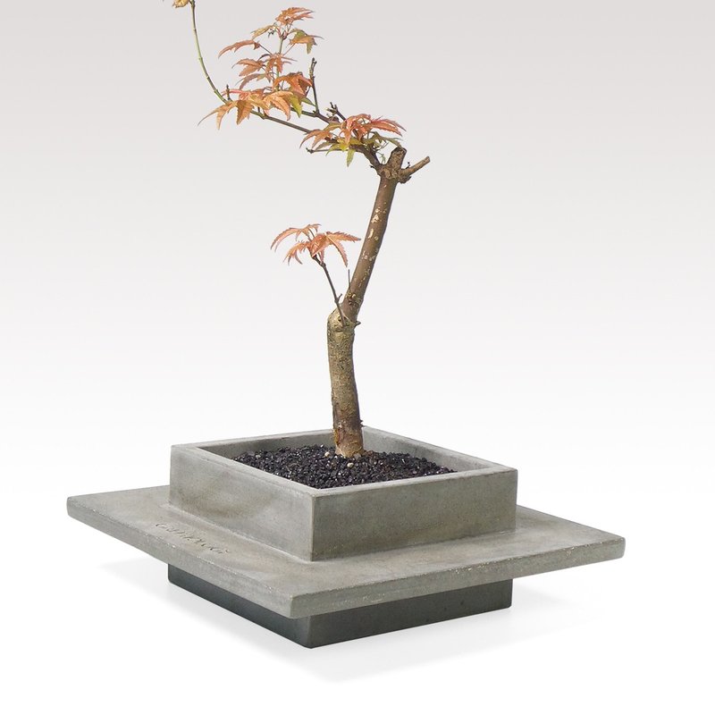 水泥花器 - 植栽/盆栽 - 水泥 银色