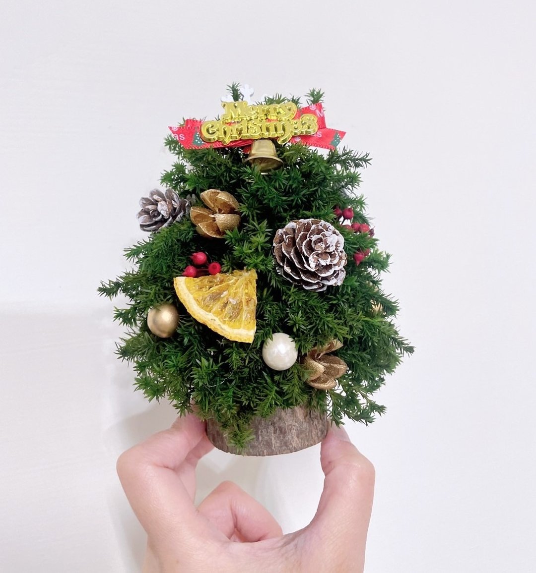 圣诞节礼物/交换礼物/永生雪松圣诞树/附包装盒/九折优惠 - 植栽 - 其他材质 