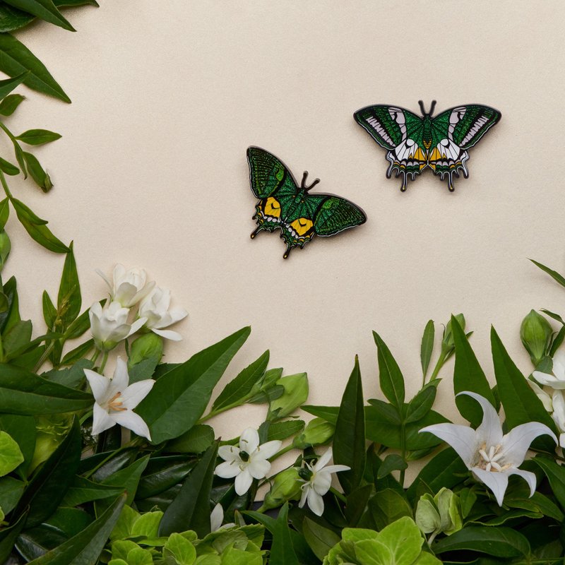 daparo 金斑喙凤蝶胸针 - 胸针 - 其他金属 多色