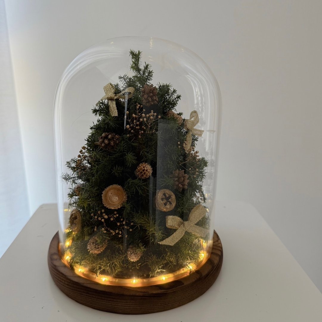 SEE 看见花艺设计|圣诞节|永生雪松 |圣诞树|金色心愿圣诞树玻璃 - 干燥花/捧花 - 植物．花 