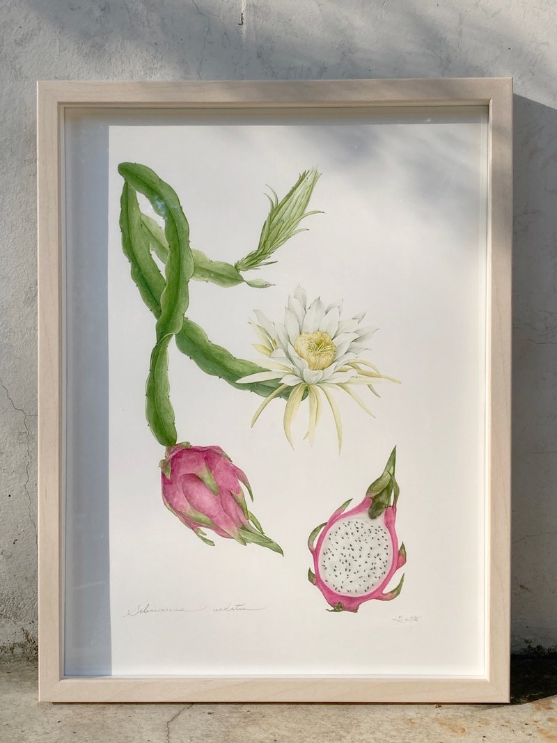 火龙果 | 数位版画 - 海报/装饰画/版画 - 其他材质 