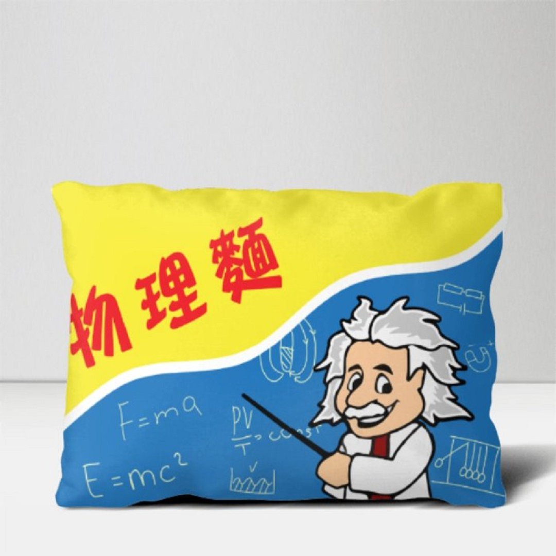 【文艺士多】物理面抱枕│居家生活 礼品 礼物 摆设 - 枕头/抱枕 - 棉 多色