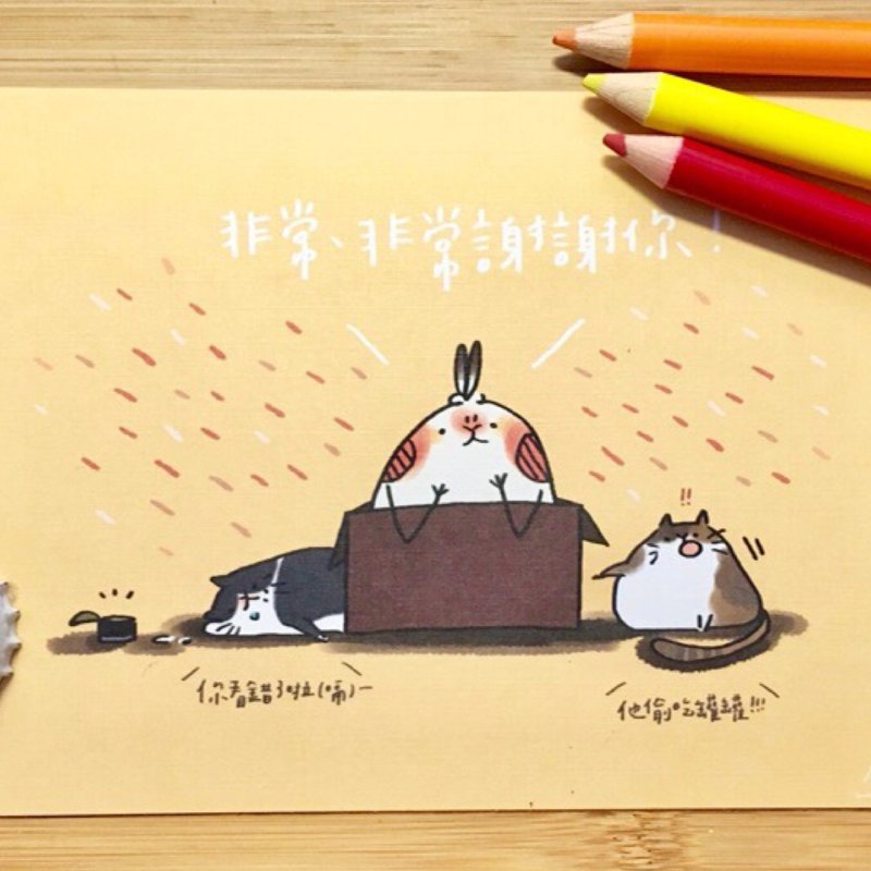 刷比与动物明信片组 - 卡片/明信片 - 纸 