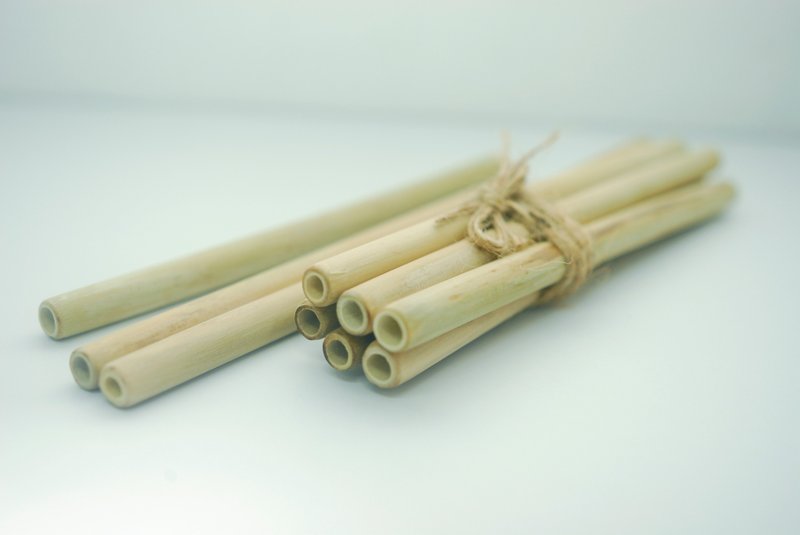 元气竹吸管 (六支组) -你减塑了没 - 环保吸管 - 竹 卡其色