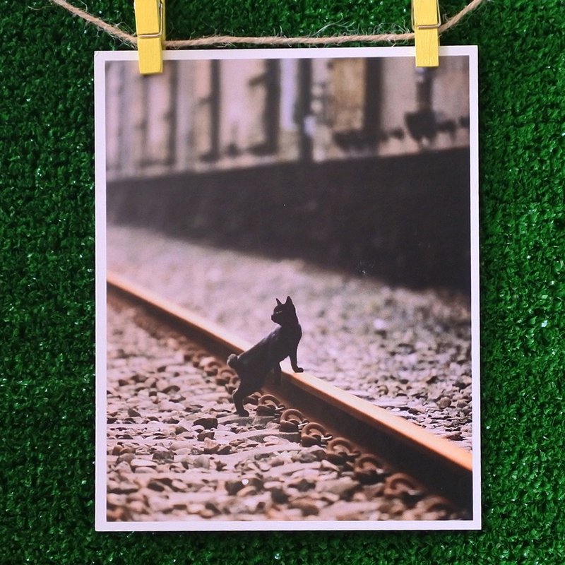 3猫小铺猫咪写真明信片(摄影:猫夫人) – 铁道怀旧之旅 - 卡片/明信片 - 纸 