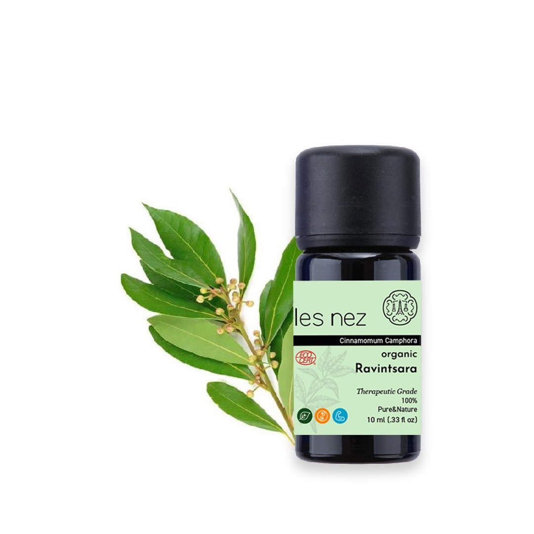 【Les nez 香鼻子】天然有机单方桉油樟罗文莎叶精油 10ML - 香薰/精油/线香 - 精油 黑色