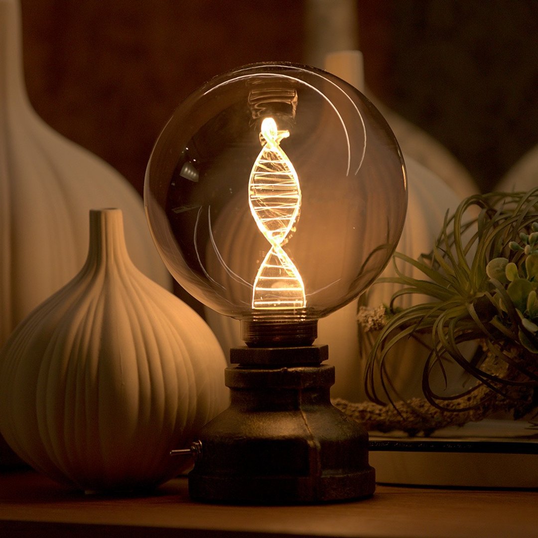 【618 年中庆】Mirage 烟熏色 DNA 夜灯㇑工业风灯座㇑喜光 LED - 灯具/灯饰 - 玻璃 灰色