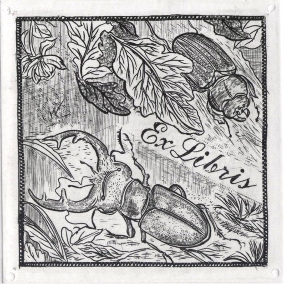 版画藏书票-甲虫-陈怡纯 - 海报/装饰画/版画 - 纸 黑色
