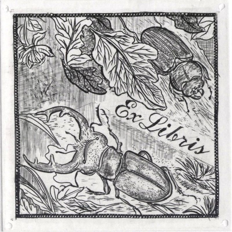 版画藏书票-甲虫-陈怡纯 - 海报/装饰画/版画 - 纸 黑色