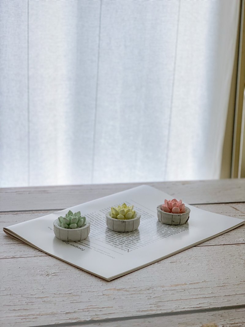【香氛摆饰小物】造型扩香 / 多肉仙人掌盆栽 / 附5ML香精油 - 香薰/精油/线香 - 其他材质 